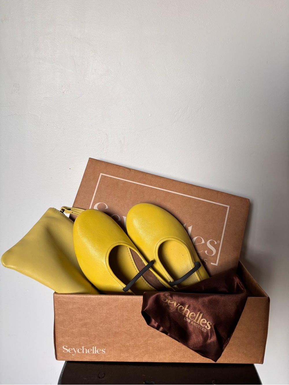 Seychelles Neon Moon Mary Jane Ballet Flats with Wrist Pouch and Dust Bag